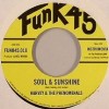 Harvey & The Phenomenals / Soul & Sunshine B/w What Can I Do