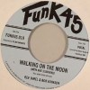 Rev Jamel & Bob Johnson / Walking On The Moon / Did You See Those Men