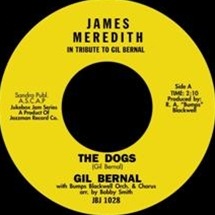 Gil Bernal / The Dogs / James