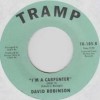 David Robinson / I Am A Carpenter Pt.1 / Pt.2