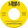 The Mighty Dogcatchers / It's Gonna Be A Mess