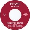 The Soul Shakers / You Ain't My Brother