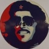 The Cb's / Mike 4 President