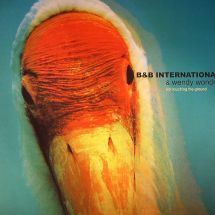 B&B International & Wendy Wonder / Not Touching The Ground