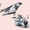 Electric Blanket / I Never Ate That Bird