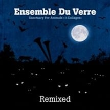 Energie Du Verre / Sanctuary For Animals Remixed