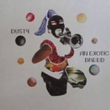 Dusty / An Exotic Breed