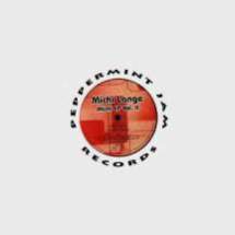 Michi Lange / Michi EP Vol. II