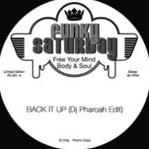 Funky Saturday / Back It Up / Party For You | Disco／Nu-Disco | レコードCD専門 ...