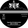 Chynna Blue And The Radek Azul Band / Since I Let  You Go