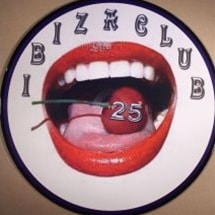 IBIZA CLUB / Vol 25