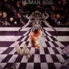 Human Egg / Human Egg