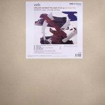 Zeb / Why Are We Here? The Seed Afro Bug Bombay Mix