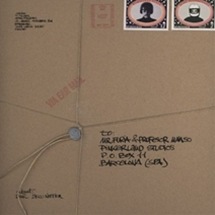 The Pinker-Tones  / Disco-Nection