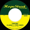 Zillanova / Suicide/the Time It Takes
