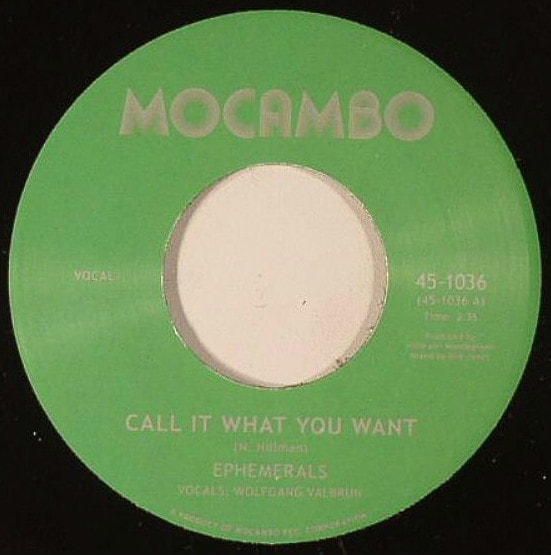 Ephemerals / Call It What You Want