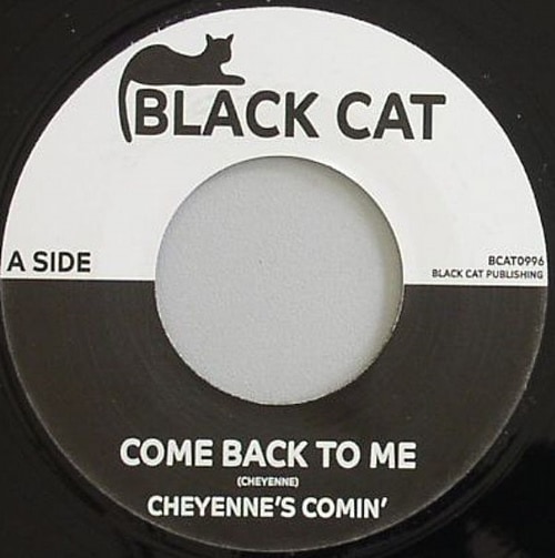 Cheyenne's Comin' / Hanson / Come Back To Me / Take Me To Your Home