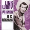 Various Artists / Link Wray And Friends - DC Rockers