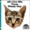 DJ 82 / 45s Live Mix From Windy City [Mix CD]