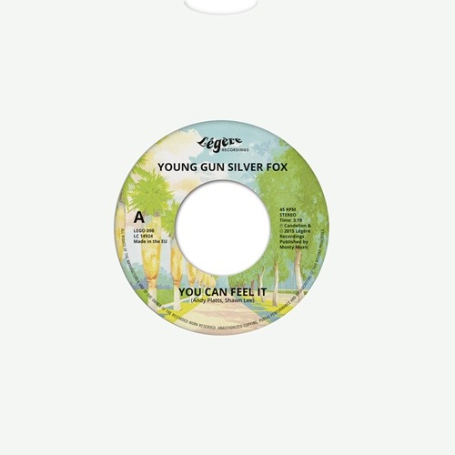 Young Gun Silver Fox / You Can Feel It