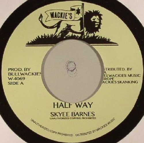 Skyee Barnes / Half Way
