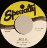 Little Richard / Rip It Up / Ready Teddy