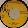 Gino Parks / Fire / For This I Thank You 