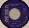 Elmore James / Madison Blues / Stormy Monday Blues