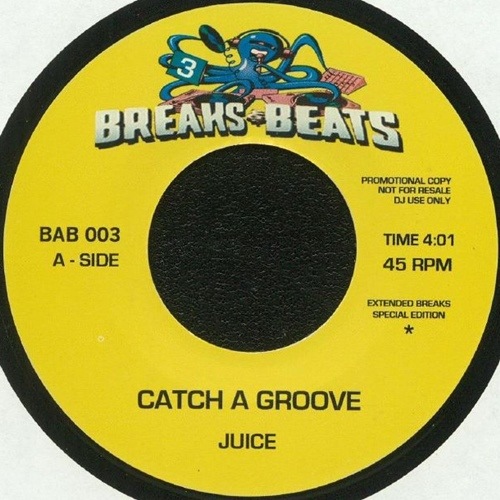 Juice/Fuzzy Haskins / Catch A Groove