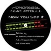 Honorebel Feat. Pitbull / Now You See It
