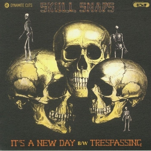 Skull Snaps / It's A New Day / Trespassing