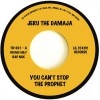 Jeru The Damaja / You Cant Stop The Prophet