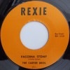 The Carter Brothers / I��m Not To Blame/ Pacoima Stomp