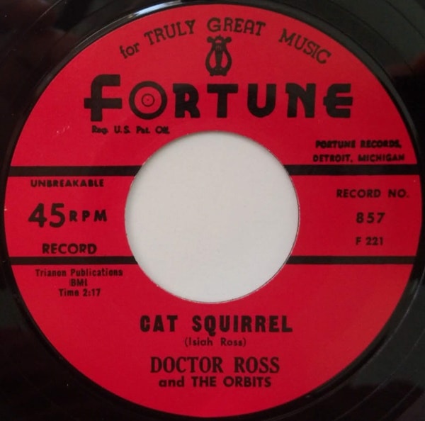 Doctor Ross / Cat Squirrel / The Sunnyland