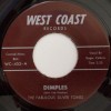 Fabulous Silvertones / Dimples / Midnight Thunder|50's-60's ／Oldies／R&R
