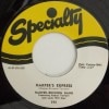 Harper Brinson Band / Harpers Express/ Harpers Return