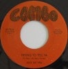 Jack Mcvea / Trying To Tell Ya / Fiddlesticks