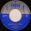 Jimmy Rogers / Walkin�� By Myself/ If It Ain��t Me