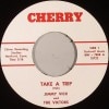Jimmy Vick / Take A Trip/ I Need Someone