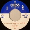 John Brim / You Got Me Where You Want Me / I Would Hate To See You Go