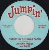 Johnny Talbot /Sandy Nelson / Turkey In The Briar Patch / Chop Chop