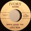 Little Irvin /D.C. Bender / Who’s Loving You/ Boogie Children|50's-60's ／Oldies／R&R