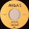 Lonnie Brooks / Mr. Hot Shot / The Popeye