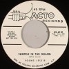 Young Jessie / Shuffle In The Gravel/ Make Believe?|50's-60's ／Oldies／R&R