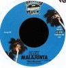 Alex Malajunta / Nota Morenota|Global Groove