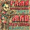 Pama International Meet Mad Professor / Rewired! In Dub