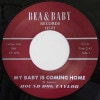 Hound Dog Taylor / My Baby Is Coming Home/ Take Five