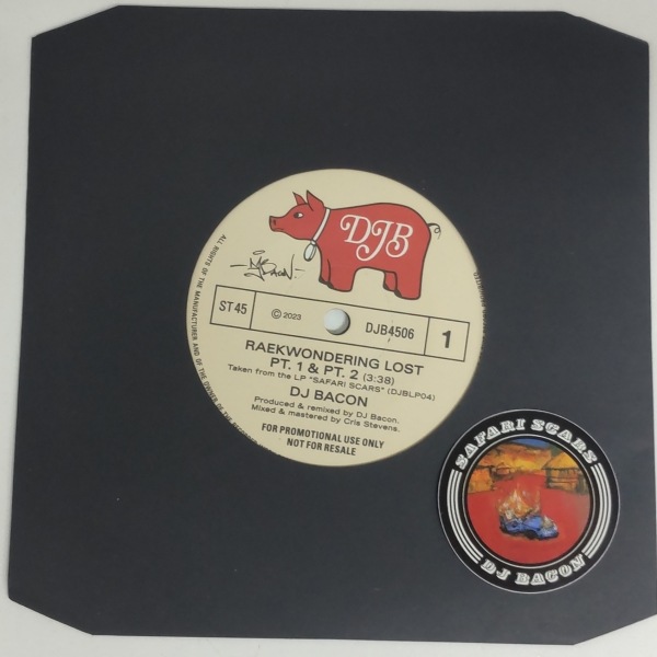 DJ Bacon / Raekwondering Lost / Aceyalone In The Wilderness