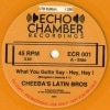 Cheeba's Latin Bros / What You Gotta Say Hey Hey! (Boogaloo Lessons #1) /I Wanna Get High (Boogaloo Lessons #2)(���顼��)
