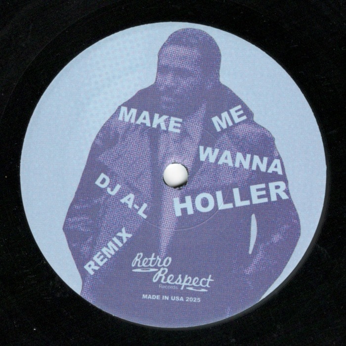 DJ A-L / Make Me Wanna Holler?/?Keep Me Hangin On(Black) | Hip Hop